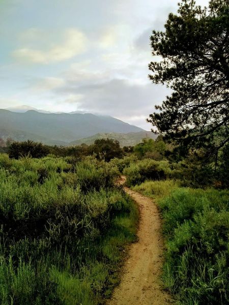 From a hidden singletrack, a nice view looking north.