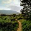 From a hidden singletrack, a nice view looking north.