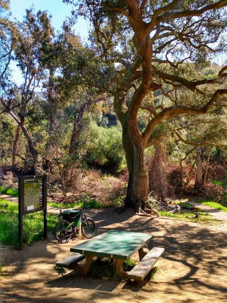 The Picnic Table - Trail convergence, and a popular break spot.