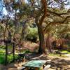 The Picnic Table - Trail convergence, and a popular break spot.