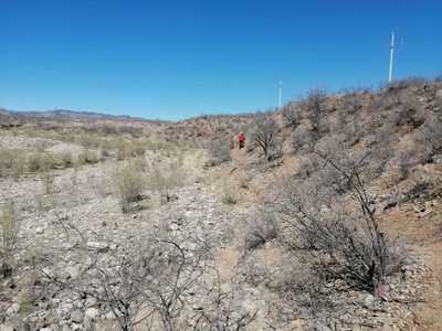 Starting the Ravines