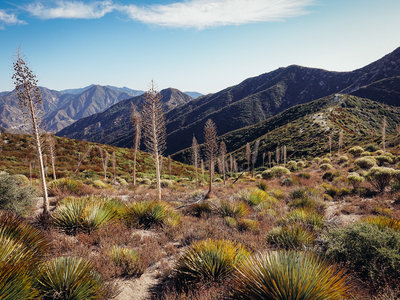 View from upper Condor Peak trail