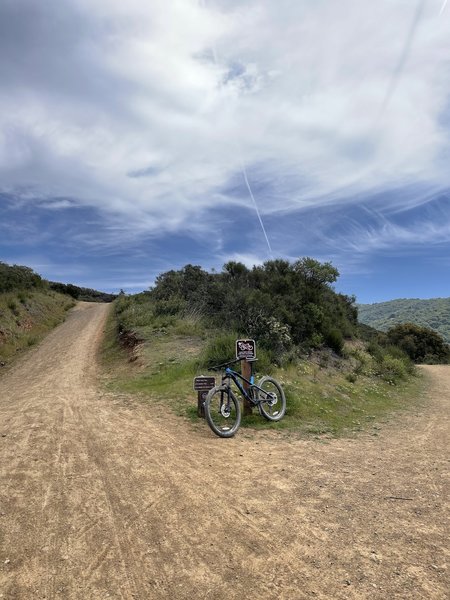 This is a junction between the dog meat trail and lime kiln.