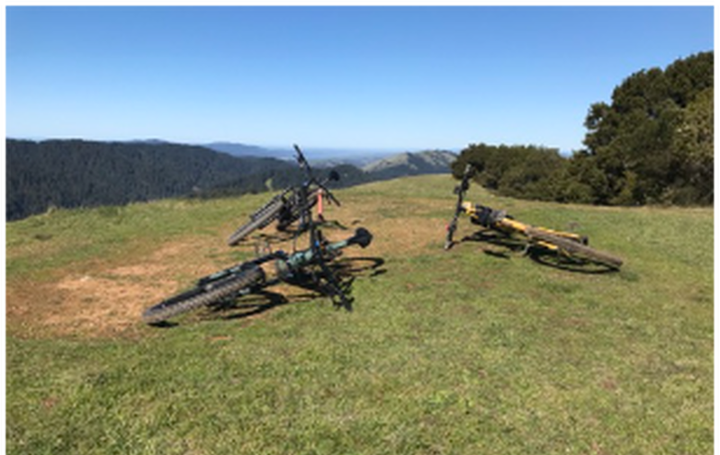 View toward Pt. Reyes