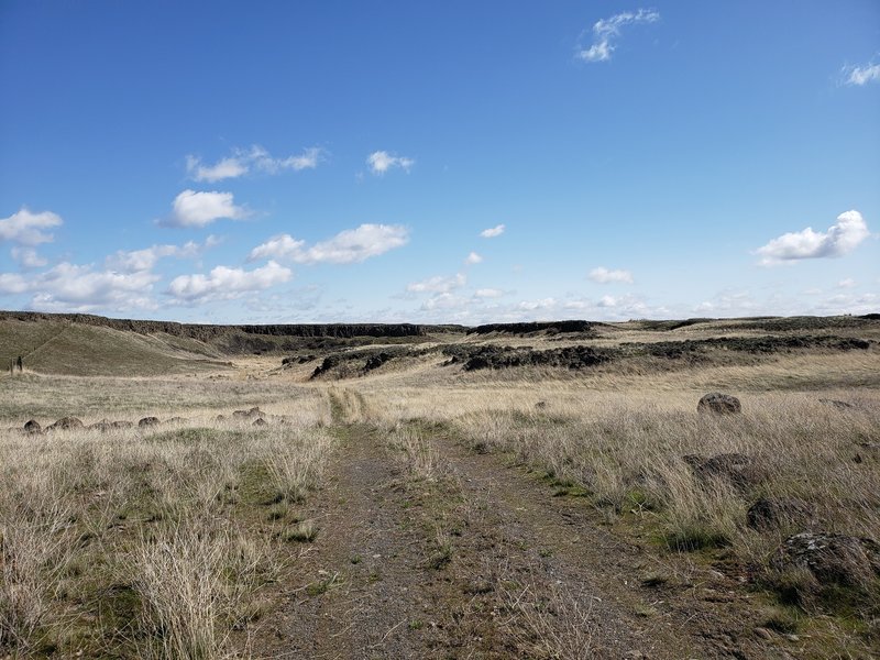 Typical doubletrack encountered at Escure Ranch