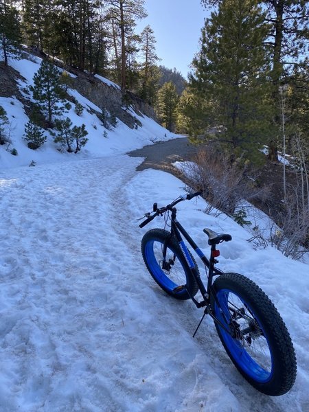 April on Upper Bristlecone Trail.  Beautiful!