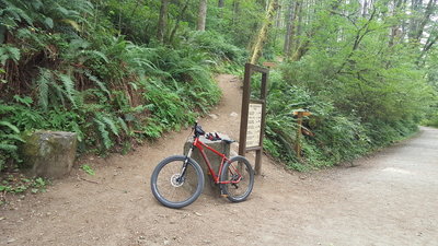 The North end of the Bells Mountain Trail at Moulton Falls