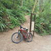 The North end of the Bells Mountain Trail at Moulton Falls