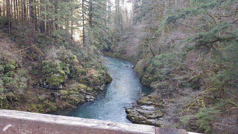 65 feet above the East Fork of the Lewis River