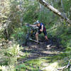 Navigating a bog in the headwaters of Ghost Creek