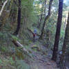 Technical riding on the true right of the Takaka River