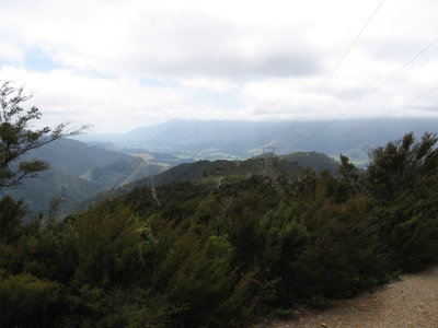 View out to Upper Takaka from the transmission line road