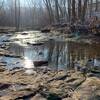 Creek crossing on the east side of the loop, mid-winter