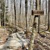 Hellbender Rock Garden