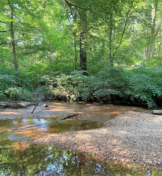 The creek crossings are not mandatory but who doesn't like a little "bike wash" mid ride?