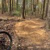 Small berm near the trailhead, just after the wood wave