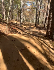 Series of dirt rollers on the lower portion of Yellow Jacket