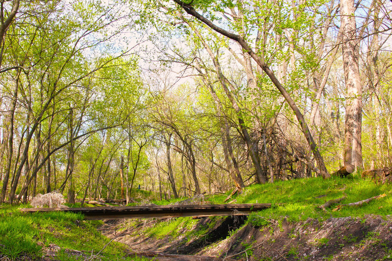 The inner part of the trail