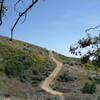 looking at the trail from "the homestead"