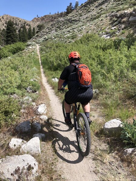 Lower Rock Creek Trail, Heading towards Paradise.