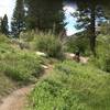 Great flow sections on Lower Rock Creek trail