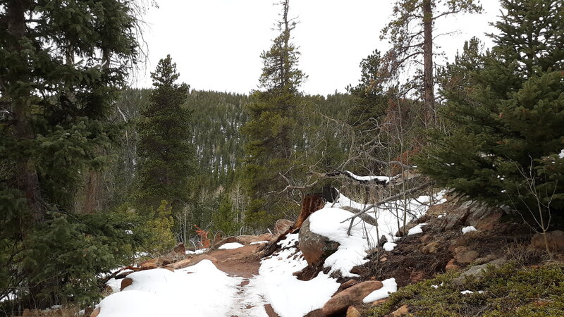 Riding past Old Hill Trail with some snow still on the ground