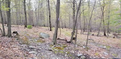 Loop at the top