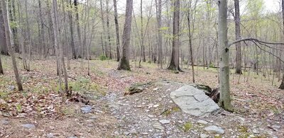 There are a few small jumps and alternate routes along the trail