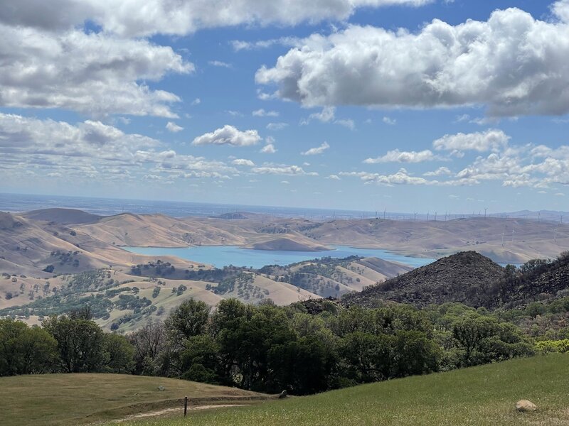 Volvon Loop looking back over the Los Vaqueros Reservoir