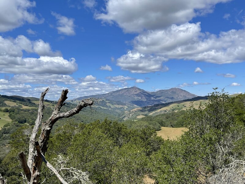 Volvon Loop return leg looking over Mt. Diablo