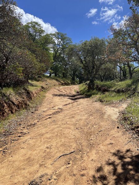 Volvon Loop return leg climb