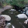 From the narrow bridge after going down past the golf house and before a short walk the bike up to the trail.