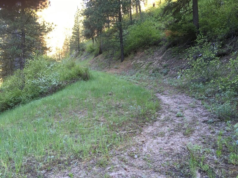 Leaving Danskin Creek to start the big climb.