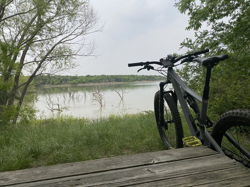 Stumpjumper overlooking the lake on the 12-Mile loop.