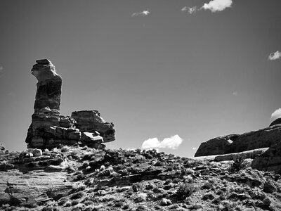 The Ostrich, with Pritchett Arch in the distance
