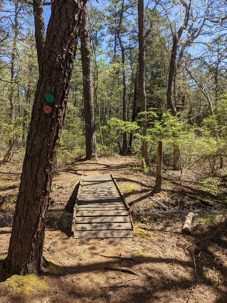 Stream Crossing on Penn Branch Trail @ Wharton State Forest