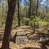 Stream Crossing on Penn Branch Trail @ Wharton State Forest