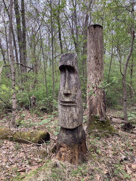 art in the woods
