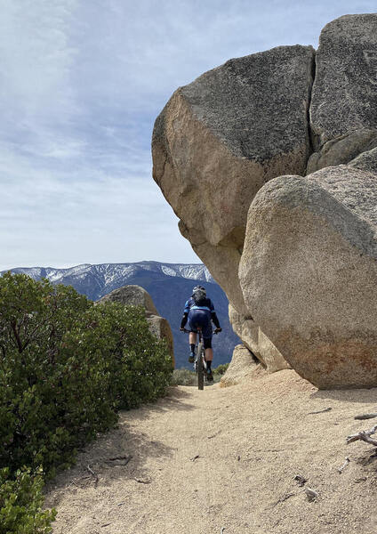 Beautiful views on Skyline Trail