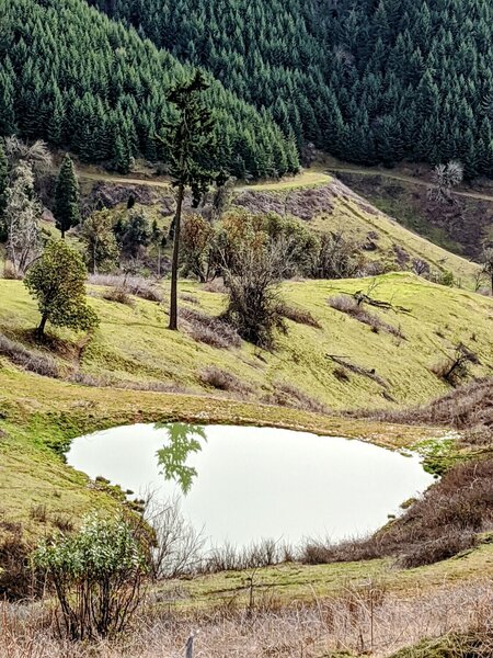 Steep grass