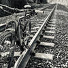 The trail will end here, at the railroad tracks. Cross it and head down to your left. Or turn around and head up Berry Creek.