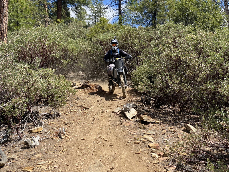 Done with the steepest parts, you've emerged from the trees. You should be able to hear the motos coming.