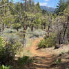 Near the top (elevation-wise) of Chandler loop.