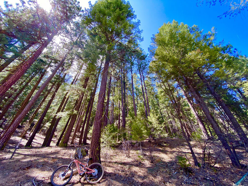 The bottom (elevation-wise) of Chandler Loop.