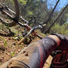 Easy to clip your pedal on a manzanita stump.