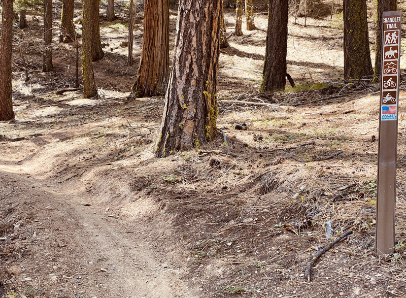 Now starts the skinniest singletrack you've ever ridden. At the bottom of Chandler Loop.