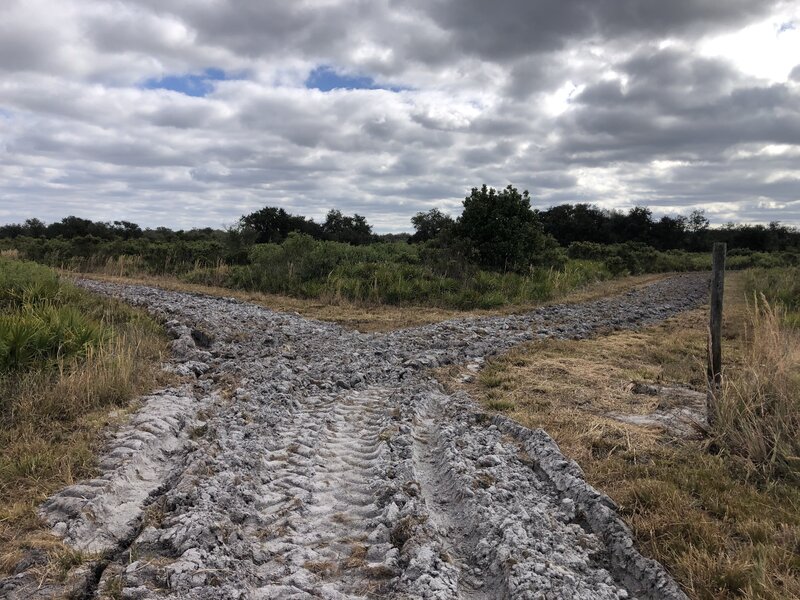 A recently tilled fire break road makes for difficult riding conditions.