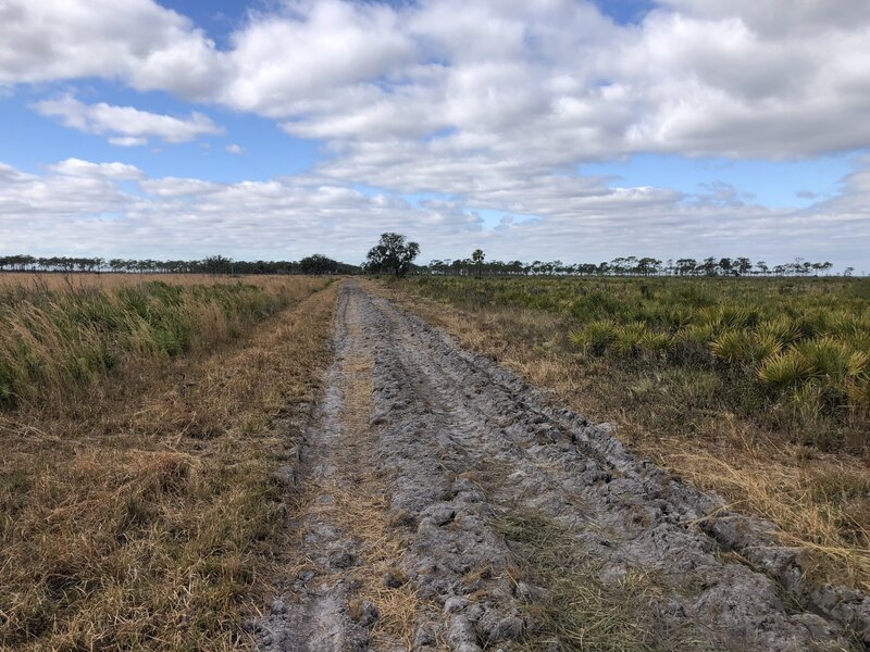 A recently tilled fire break road makes for difficult riding conditions.