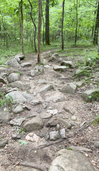 Rock Garden before a creek crossing