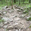 Rock Garden before a creek crossing